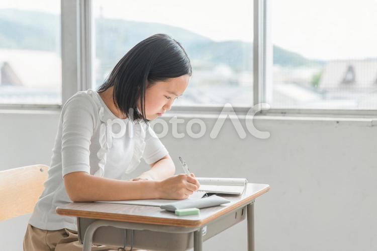 学校で勉強する高学年の小学生（夏期講習） 勉強,子供,学校の写真素材