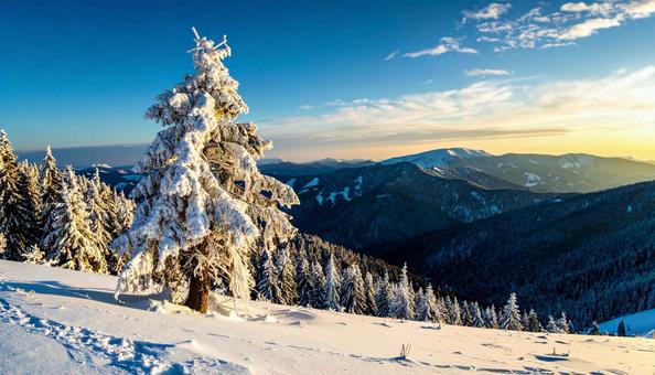 美しい雪山の風景の写真