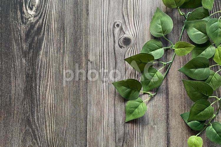 植物と木目の背景 植物,緑,グリーンの写真素材