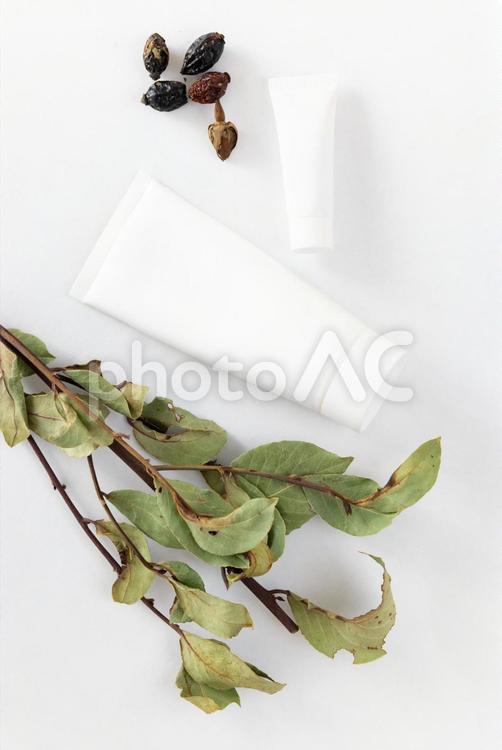 ドライリーフと植物の実と白いチューブ モックアップ,物撮り,化粧品の写真素材