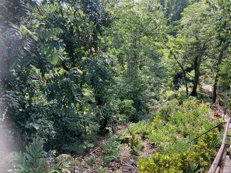 自然 川,自然,風景の写真素材