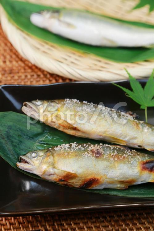 鮎の塩焼き 鮎,塩焼き,鮎の塩焼きの写真素材