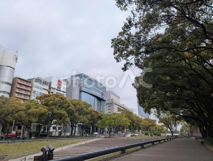 街中の緑 久屋大通公園,久屋大通,公園の写真素材