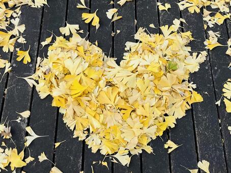 イチョウの葉 落ち葉,イチョウ,黄色の写真素材