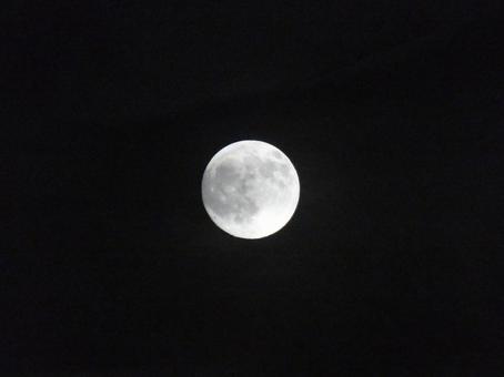 銀の月 銀の月 月,十五夜,中秋の名月の写真素材