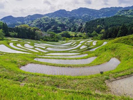 【千葉県】鴨川市・大山千枚田 【千葉県】鴨川市・大山千枚田の写真