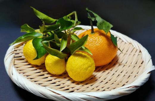 秋～冬の味覚の柑橘類/花柚子・伊予柑 柚子,みかん,柑橘類の写真素材