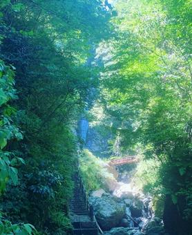 洒水の滝 洒水の滝の写真