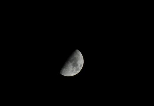 半月 月 Moon 半月 月 Moonの写真