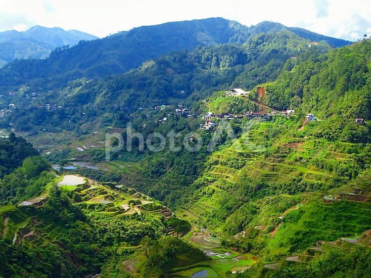 イフガオ州バナウエ町のビューポイント棚田 フィリピン,イフガオ,バナウエの写真素材