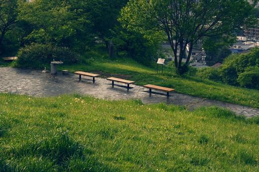 公園の風景 公園の風景 風景,緑,公園の写真素材