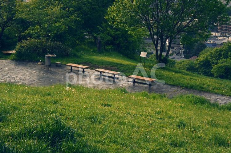 公園の風景 風景,緑,公園の写真素材