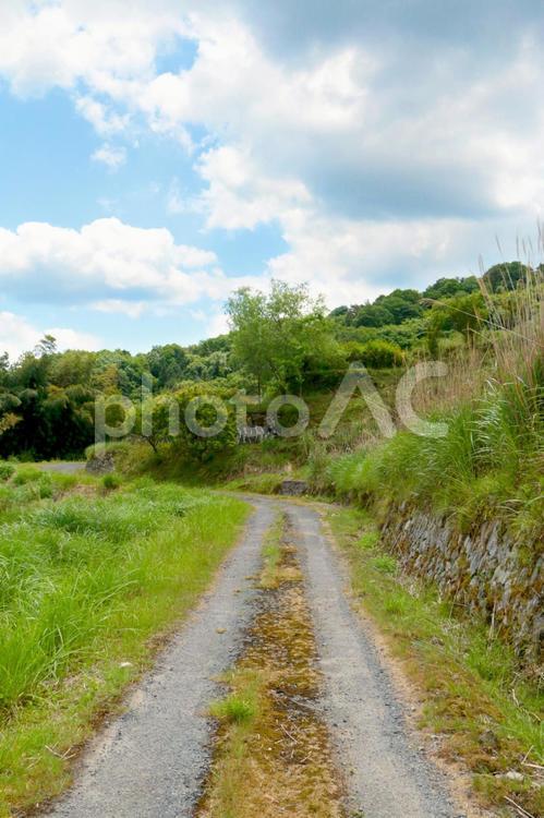 風景／田舎／道【TKPp】 風景,景色,夏の写真素材