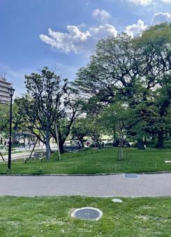 都会のオアシス:緑が美しい公園の風景 都会のオアシス:緑が美しい公園の風景 公園,自然,緑の写真素材