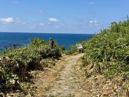 福井県東尋坊雄島島内の景色 福井県東尋坊雄島島内の景色 雄島,獣道,小道の写真素材