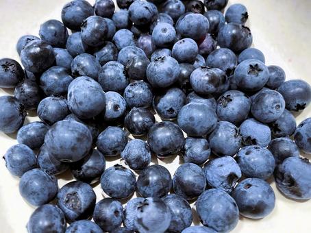 Photo, blueberry, real, fruit, 