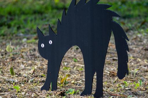 ハロウィンの飾り⒀ ハロウィン,飾り,猫の写真素材