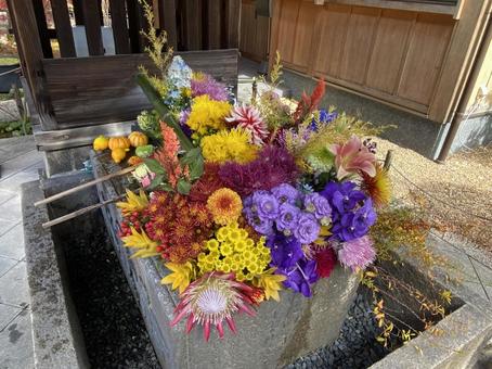 花手水 花手水の写真