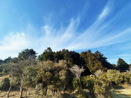 Trees and blue sky on the mountain top, JPG Trees and blue sky on the mountain top, JPG