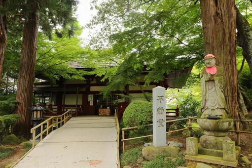 中尊寺10 中尊寺10 自然,木,癒しの写真素材