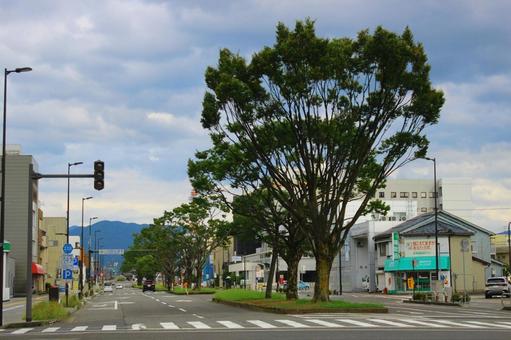 並木の道路 福井,福井市,並木の写真素材