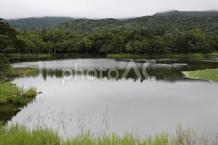 「知床五湖」風景2(北海道) 北海道,世界遺産,知床五湖の写真素材