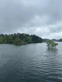 暗さと明るさと沼 暗い,自然,曇りの写真素材