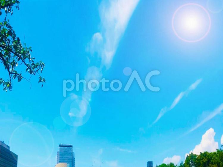 油彩のような景色　風景画 コピースペース,油彩,風景の写真素材