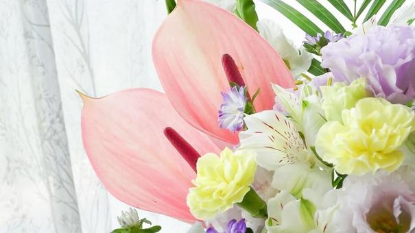 Anthurium and carnation bouquet background, JPG Anthurium and carnation bouquet background, JPG