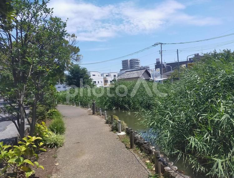 住宅街と川沿いの歩道 川,風景,自然の写真素材