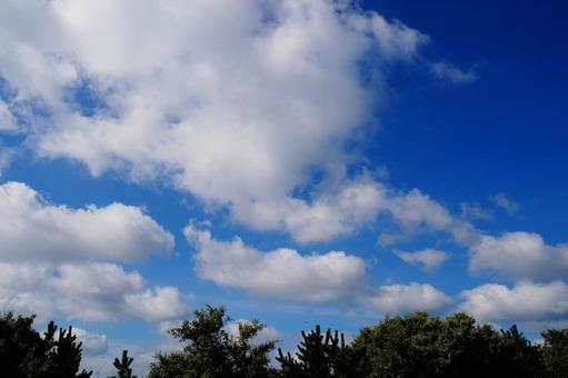 青い空 青い空の写真