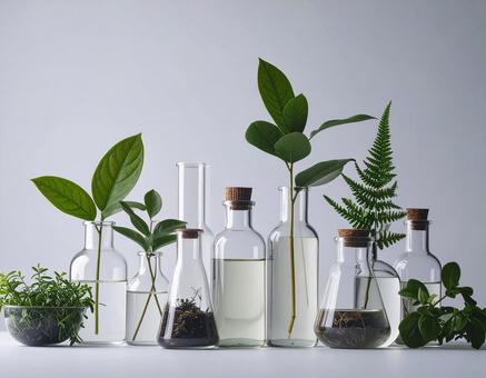 ボタニカルなインテリアの写真