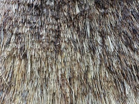 藁ぶき 藁ぶき,テクスチャ,背景の写真素材