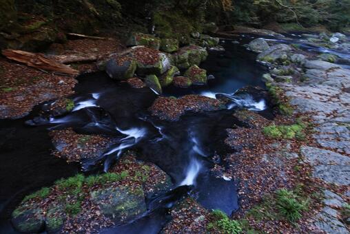 菊池渓谷 菊池渓谷,菊池川,光芒の写真素材