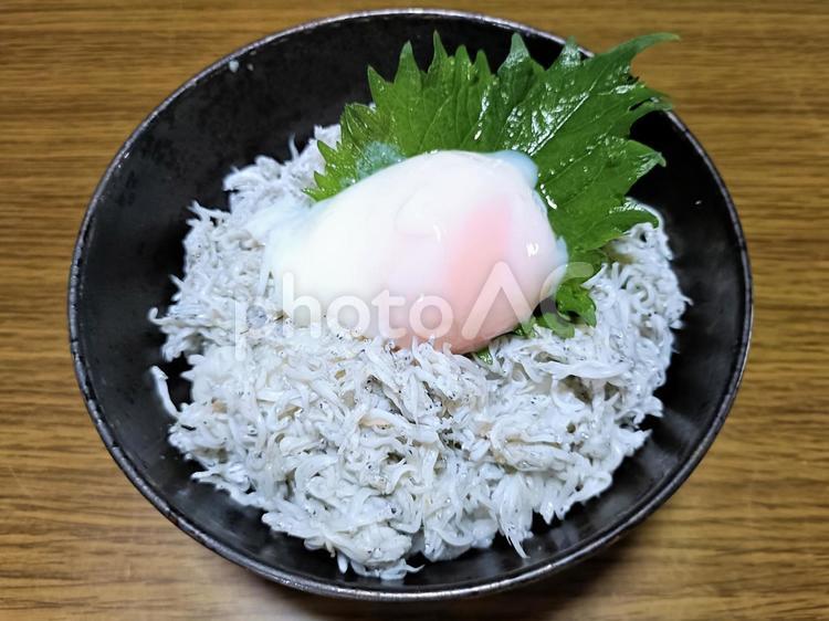 釜揚げしらす丼2 しらす丼,シラス,しらすの写真素材