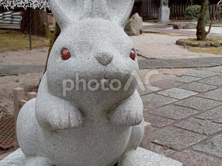 京都府　岡崎神社　うさぎの像 京都府,岡崎神社,神社の写真素材