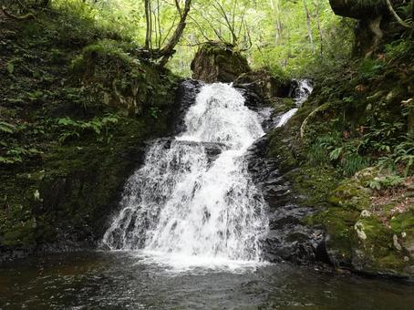森林にたたずむ滝 森林にたたずむ滝 滝,清流,自然の写真素材