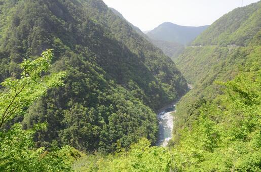 新緑に包まれた深いV字渓谷 渓谷,峡谷,谷の写真素材