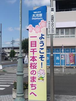 一目千本桜のまちへ 一目千本桜のまちへの写真