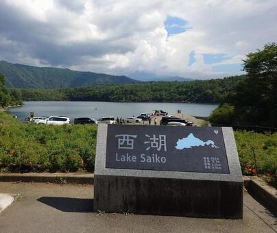 西湖 (富士五湖) 西湖,富士五湖の一つ,山梨県南都留郡富士河口湖町の写真素材