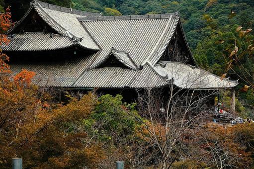 長谷寺　国宝本堂 長谷寺,寺,奈良の写真素材