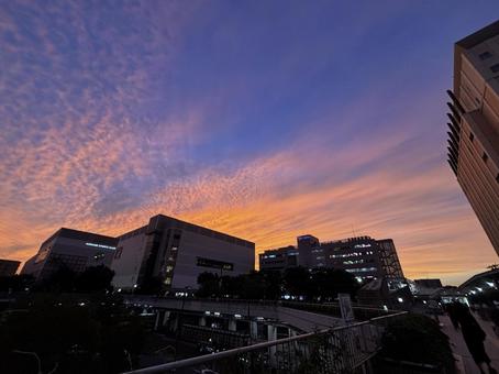 sunset glow sunset glow 夕焼け,sunsetglow,オレンジの写真素材