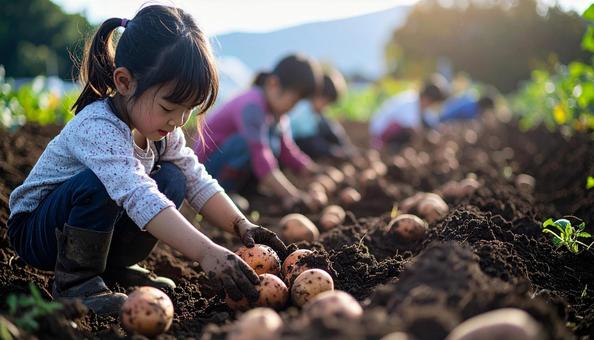 芋掘りする子供 芋掘りする子供の写真