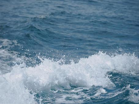白波の写真