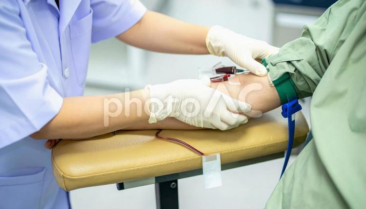 患者の腕から採血をする看護師 採血,医者,医師の写真素材