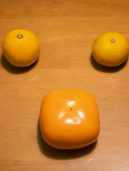 秋の味覚：柿とみかん 果物,柿,みかんの写真素材
