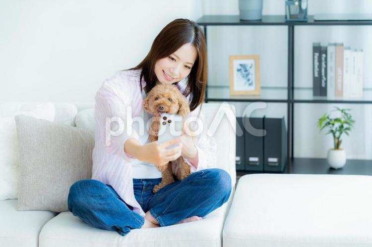 部屋でペットとくつろぐ若い女性 スマホ,ペット,女性の写真素材