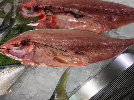 サワラの写真素材 写真素材なら 写真ac 無料 フリー ダウンロードok