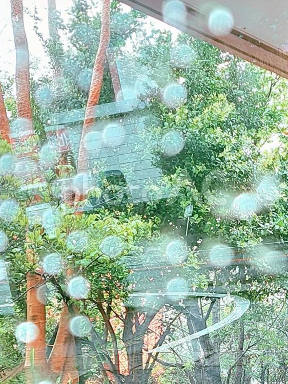 窓ガラスに映る　雨の日 窓ガラス,雨,雨の日の写真素材