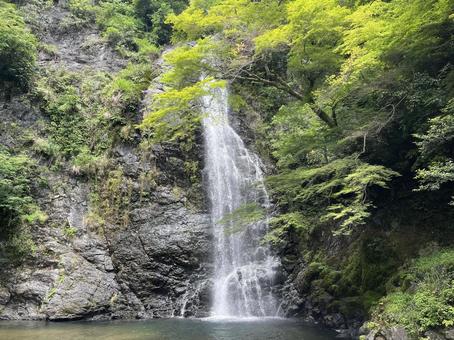 箕面大滝 箕面大滝の写真